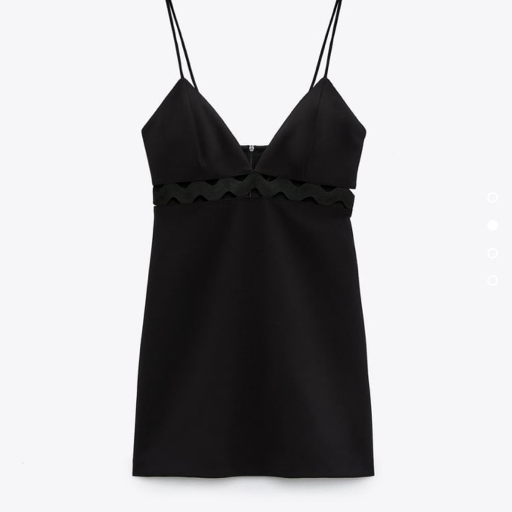 Zara Waist Appliqué Mini Dress